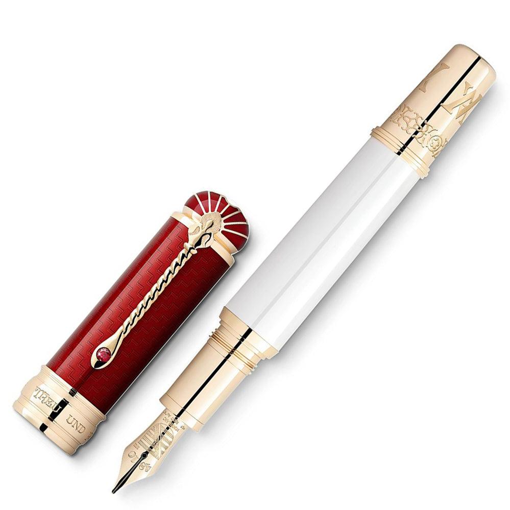 Montblanc stilografica Patron of Art Homage to Albert Limited Edition 4810 punta M 127850