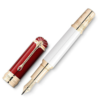 Montblanc stilografica Patron of Art Homage to Albert Limited Edition 4810 punta M 127850