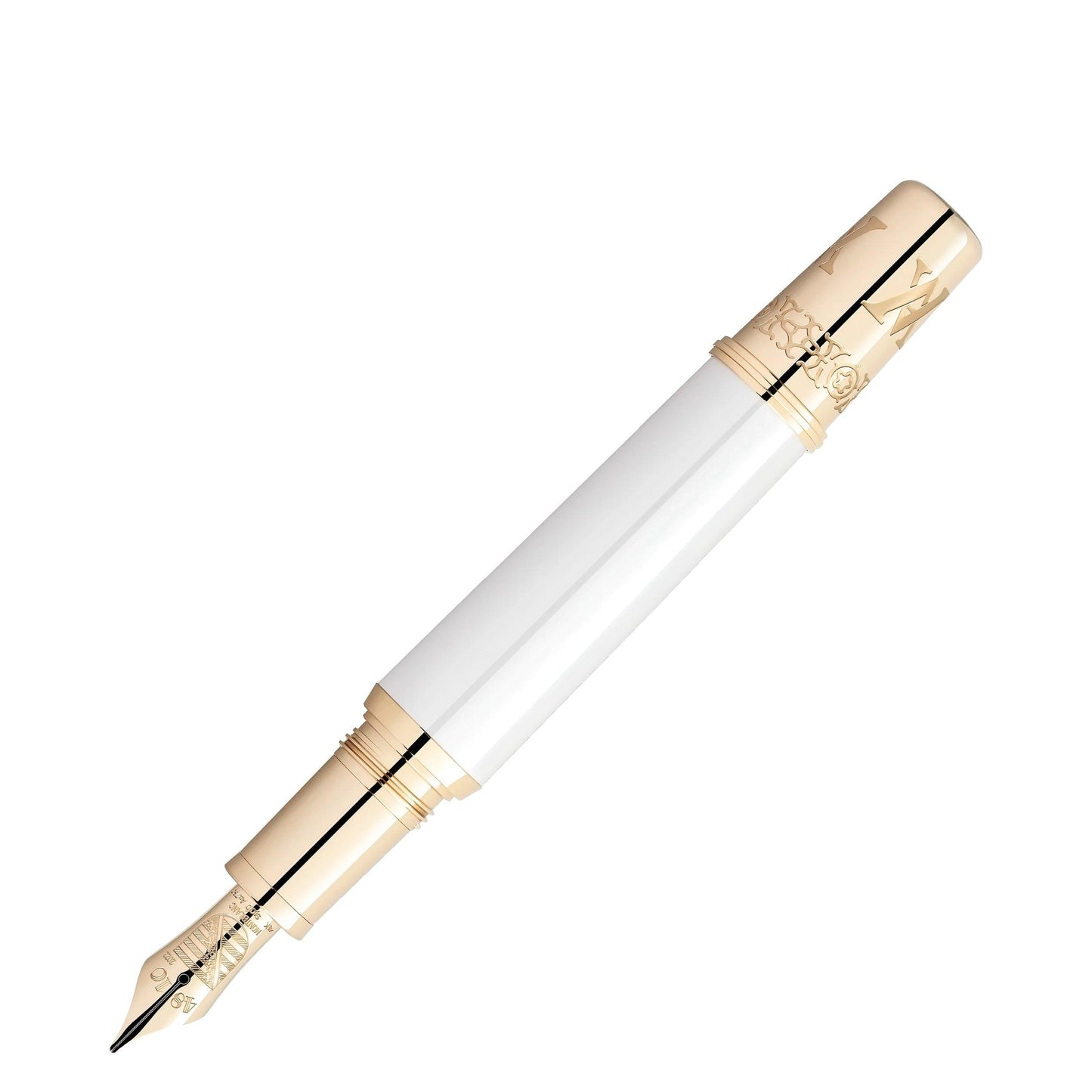 Montblanc stilografica Patron of Art Homage to Albert Limited Edition 4810 punta M 127850