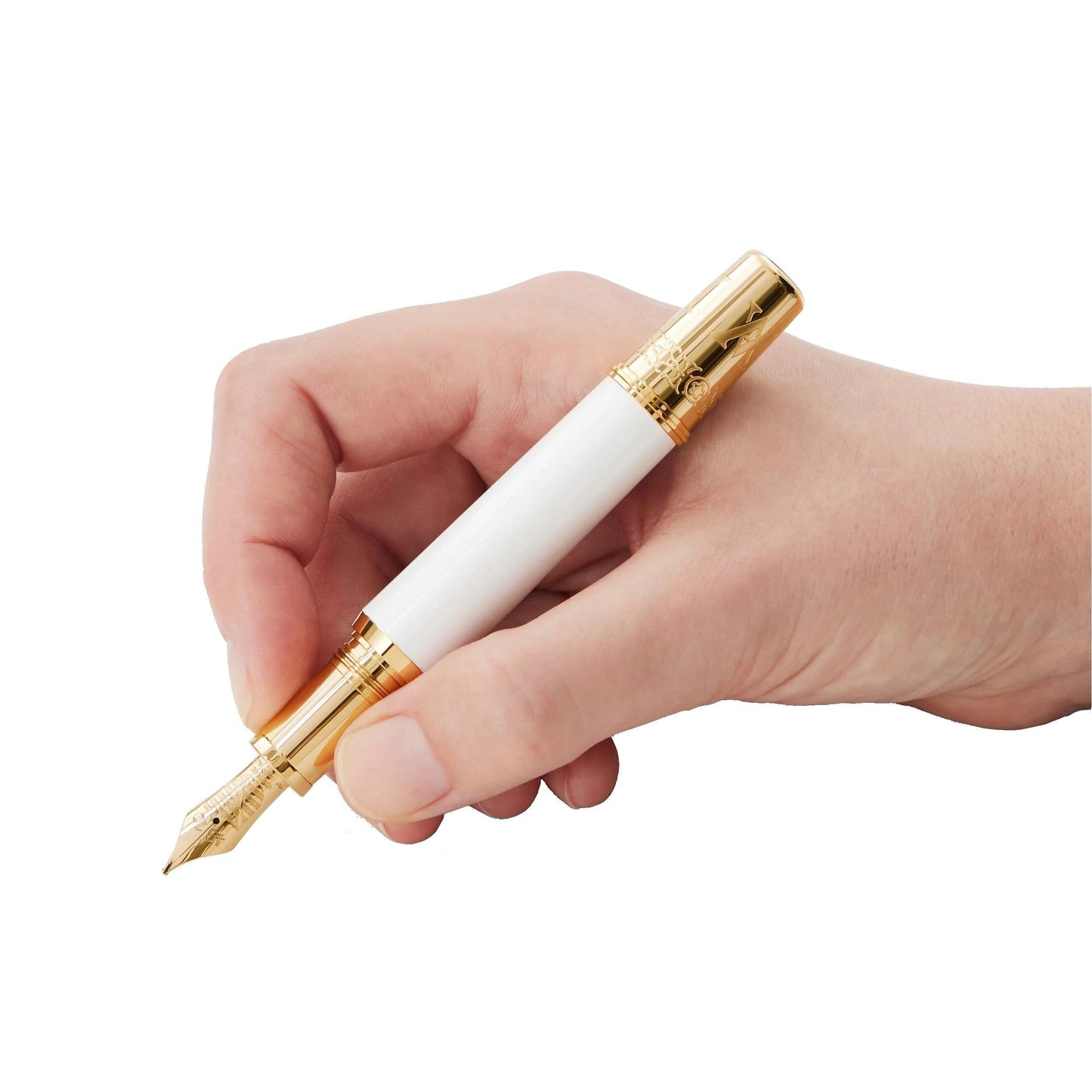 Montblanc stilografica Patron of Art Homage to Albert Limited Edition 4810 punta M 127850